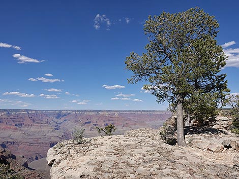 grand canyon