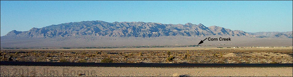 Birding Around Corn Creek