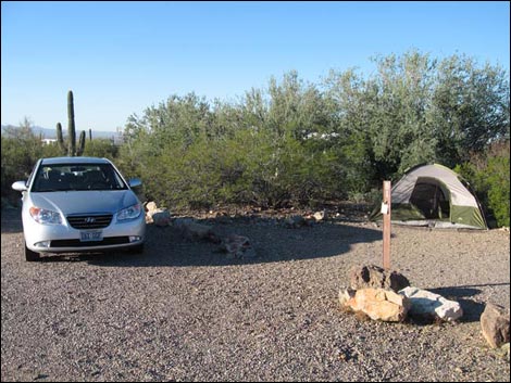 Arizona-Sonora Desert Museum