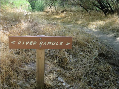 Hassayampa River Preserve