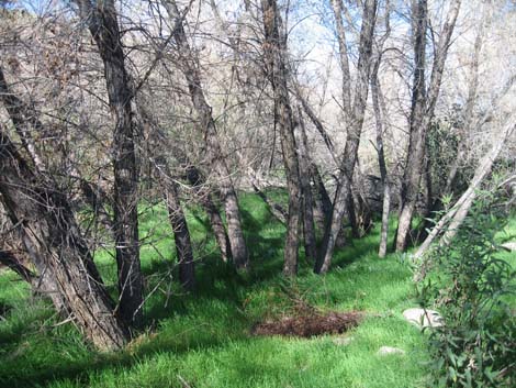 Hassayampa Roadside Rest Area