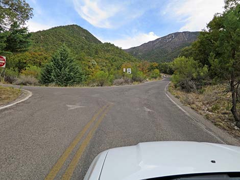 Madera Canyon