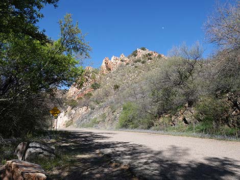 Patagonia Roadside Rest Area