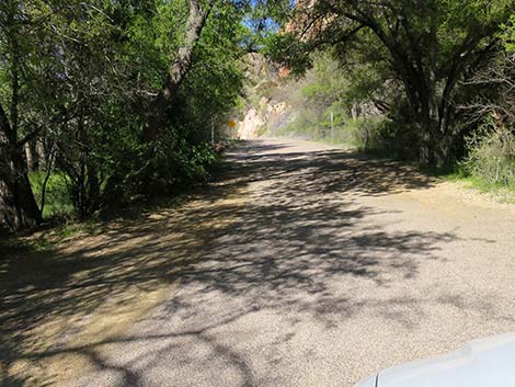 Patagonia Roadside Rest Area