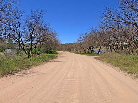 Patagonia-Sonoita Creek Preserve