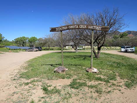 Patagonia-Sonoita Creek Preserve