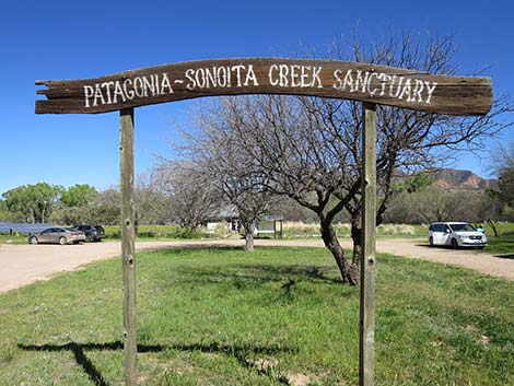 Patagonia-Sonoita Creek Preserve