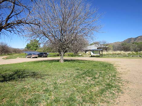 Patagonia-Sonoita Creek Preserve