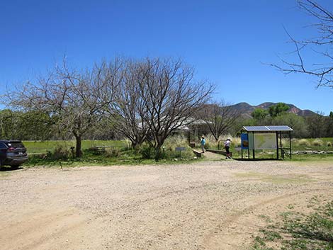 Patagonia-Sonoita Creek Preserve