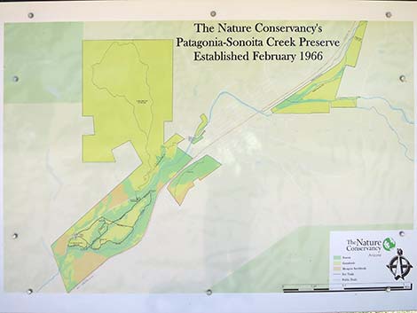 Patagonia-Sonoita Creek Preserve