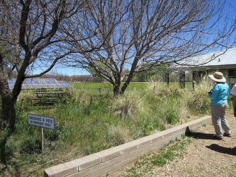 Patagonia-Sonoita Creek Preserve