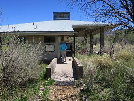 Patagonia-Sonoita Creek Preserve