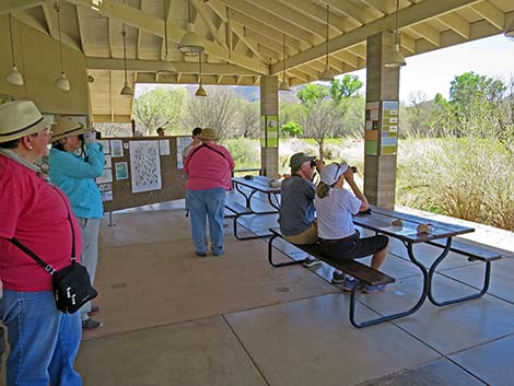 Patagonia-Sonoita Creek Preserve