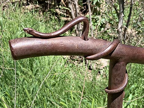 Patagonia-Sonoita Creek Preserve