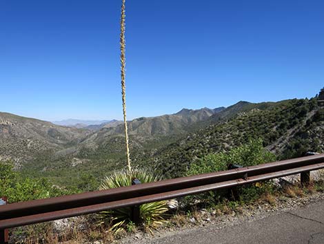 Chiricahua National Monument