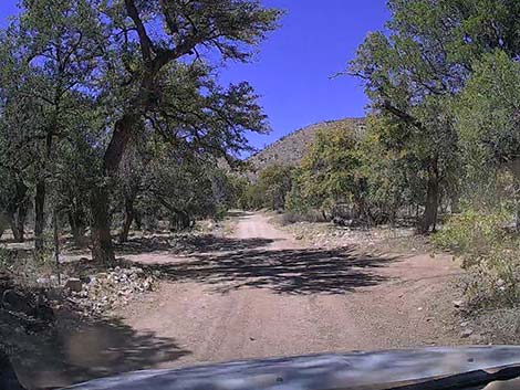 Pinery Canyon Road