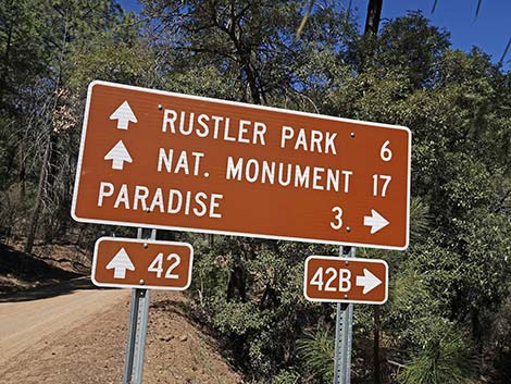 Rustler Park Road