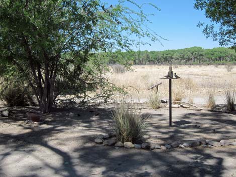 San Pedro Riparian NCA