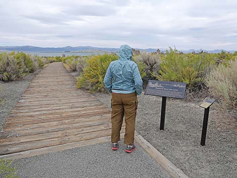 South Tufa Towers Trail