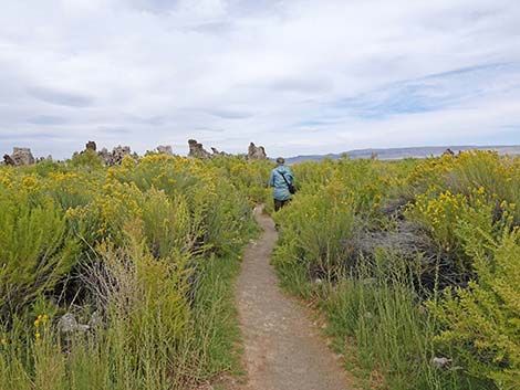 South Tufa Towers Trail