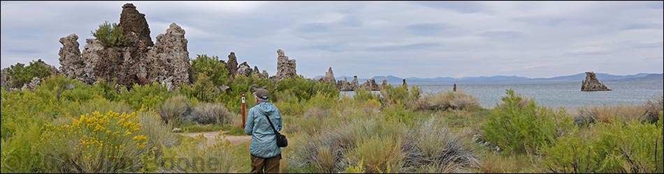 Mono Lake Tufa Reserve