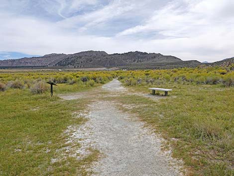 South Tufa Towers Trail