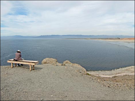 Salton Sea