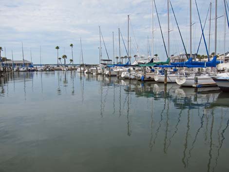 Dunedin Marina