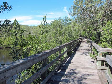 Hammock Park