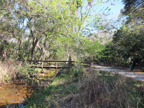 Hammock Park