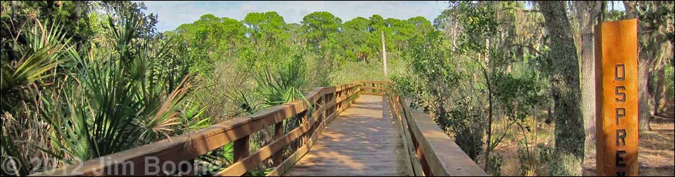 Hammock Park