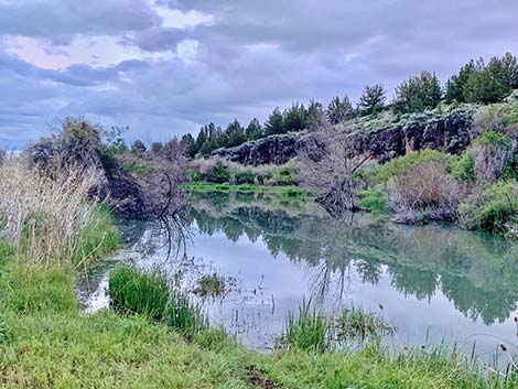 Malhuer NWR, Page Springs Camp