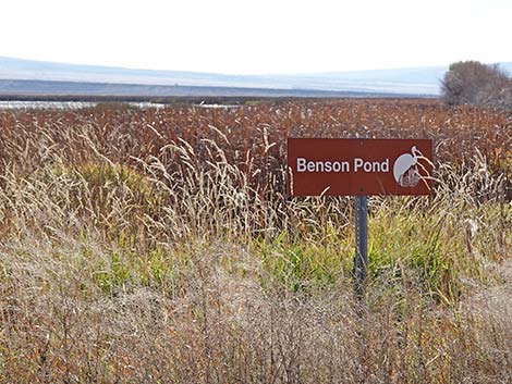 Malheur National Wildlife Refuge