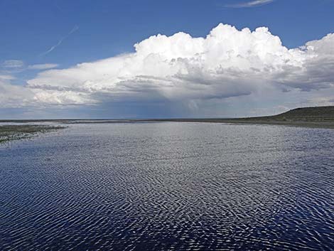 Malheur NWR, Narrows Bridge