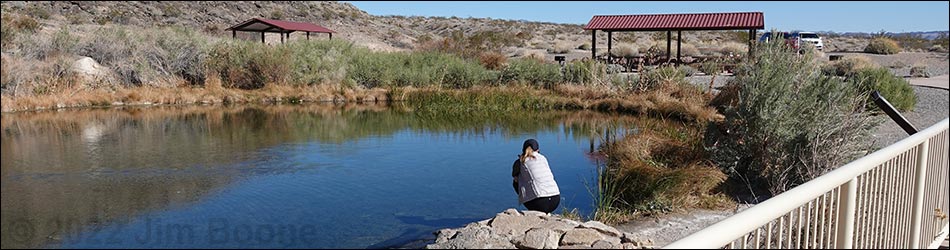 birding trail northeast