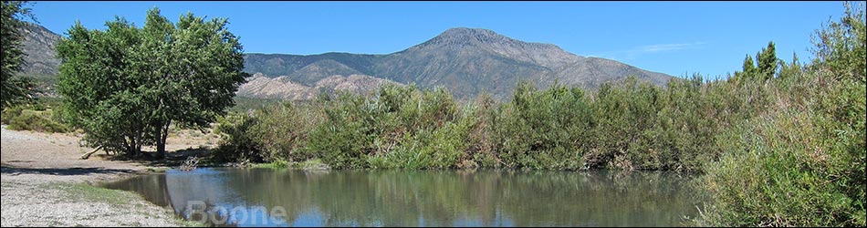 Birding Around Cold Creek