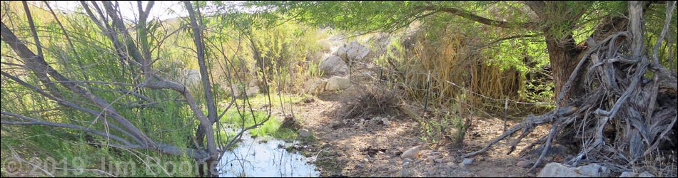 Horse Spring Birding