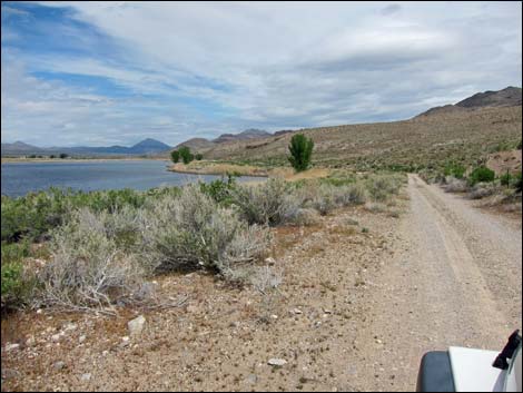 Key Pittman Wildlife Management Area