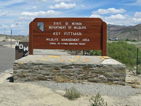 Key Pittman WMA