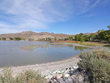 Pahranagat NWR