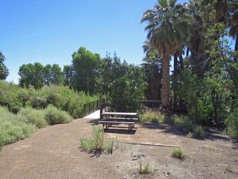 Warm Springs Natural Area