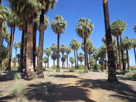 Warm Springs Natural Area