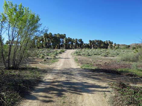 Warm Springs Natural Area