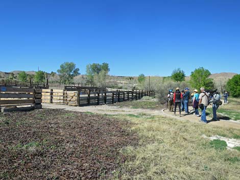 Warm Springs Natural Area