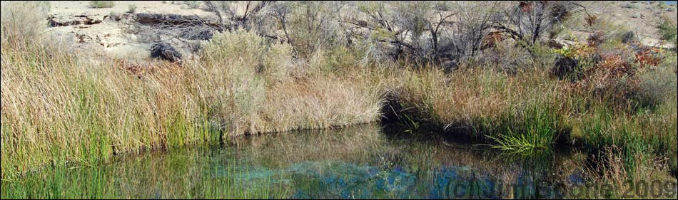 Ash Meadows National Wildlife Refuge, Point of Rocks