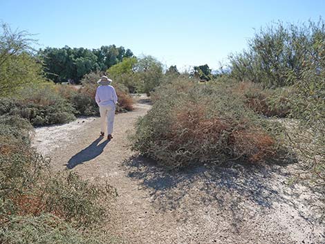 Furnace Creek