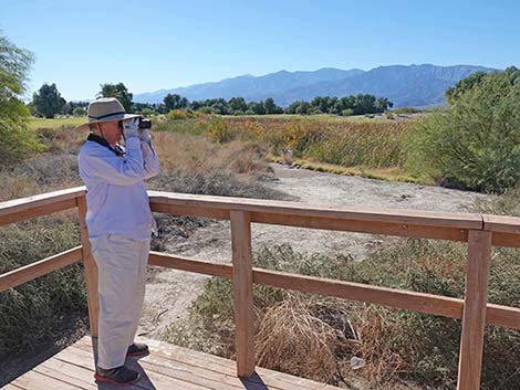 Furnace Creek