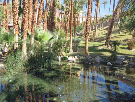 Furnace Creek