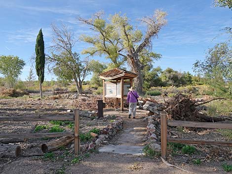 Torrance Ranch