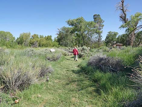 Torrance Ranch